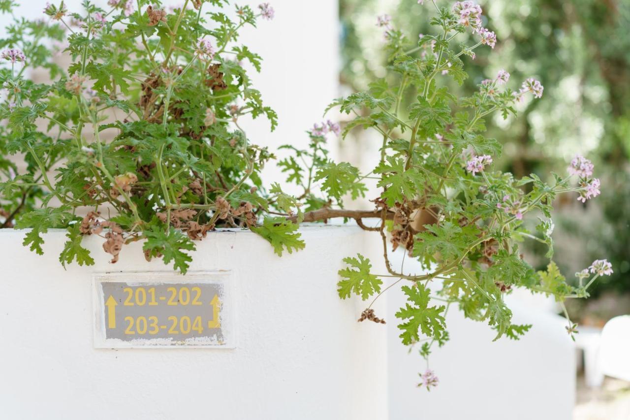 Costa Sariyaz Hotel Bodrum Ngoại thất bức ảnh